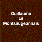 Guillaume Le Montsaugeonnais Expert