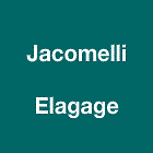 Jacomelli Victor EI Expert