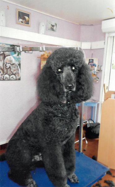 galerie image galerie image