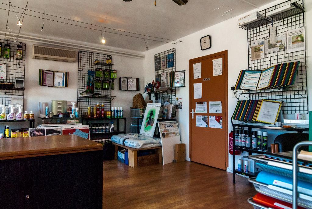 galerie image