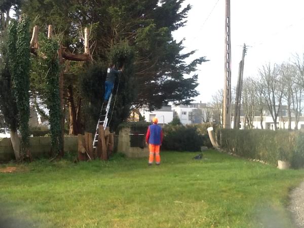 RS Elagages Services Autres services