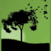 Toussaint Peio Expert