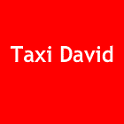 Taxi David
