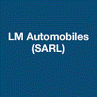 LM Automobiles SARL garage d'automobile, réparation