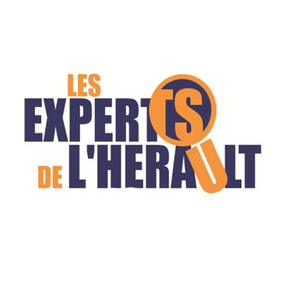 Les Experts De L'Hérault conseil départemental