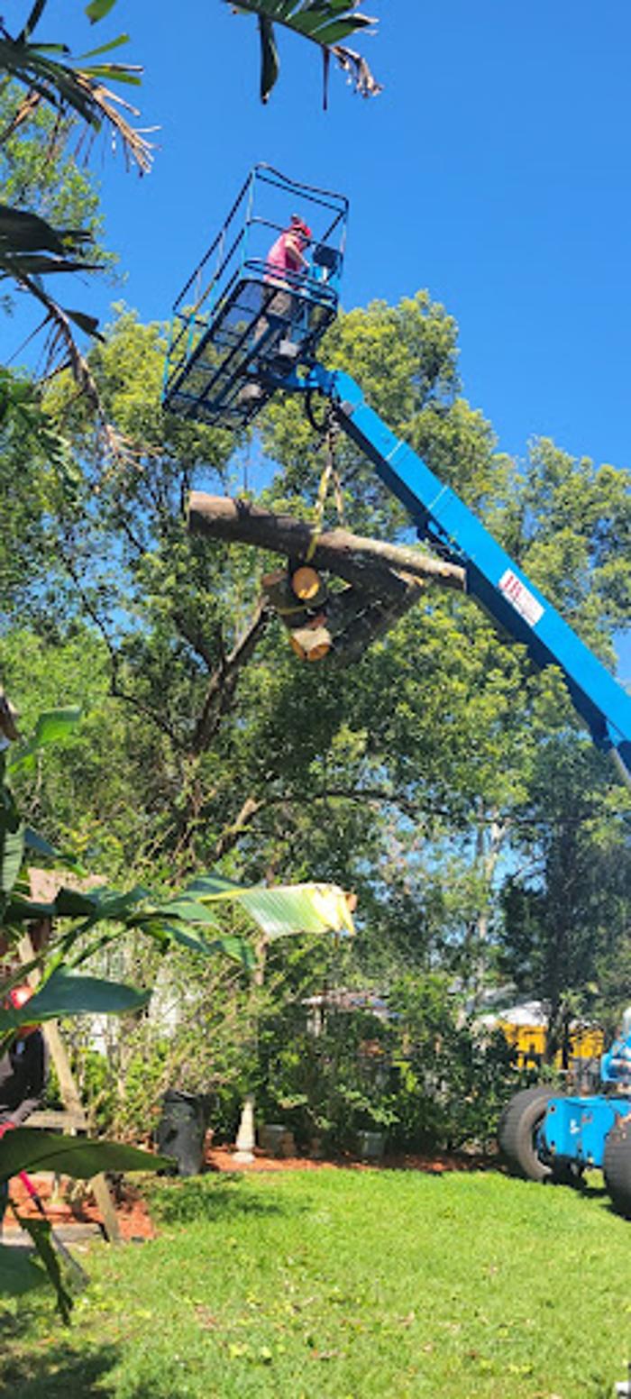 JB Tree Care - Geneva, FL