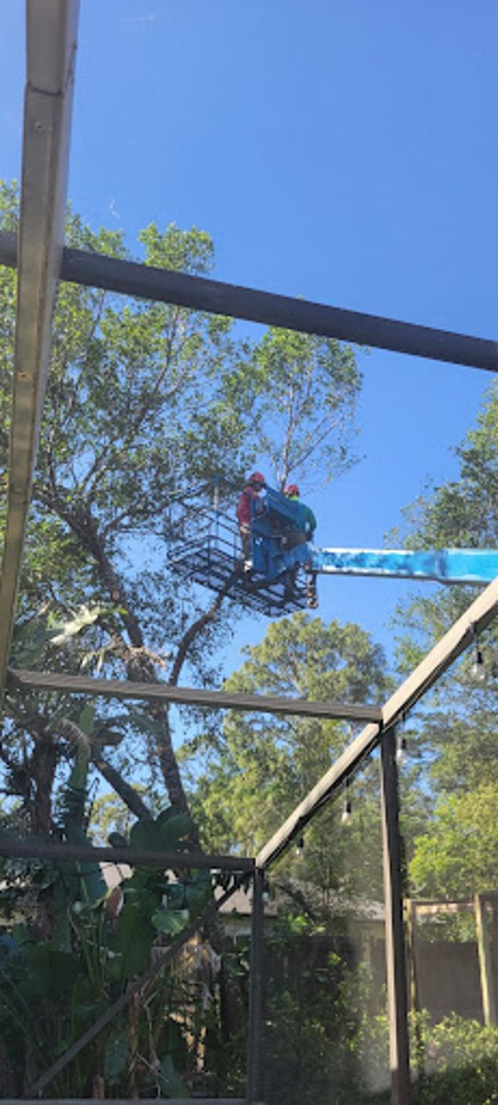 JB Tree Care - Geneva, FL