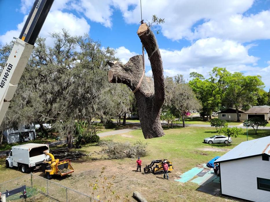 JB Tree Care - Geneva, FL