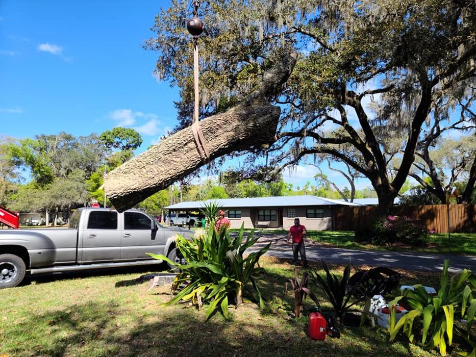 JB Tree Care - Geneva, FL