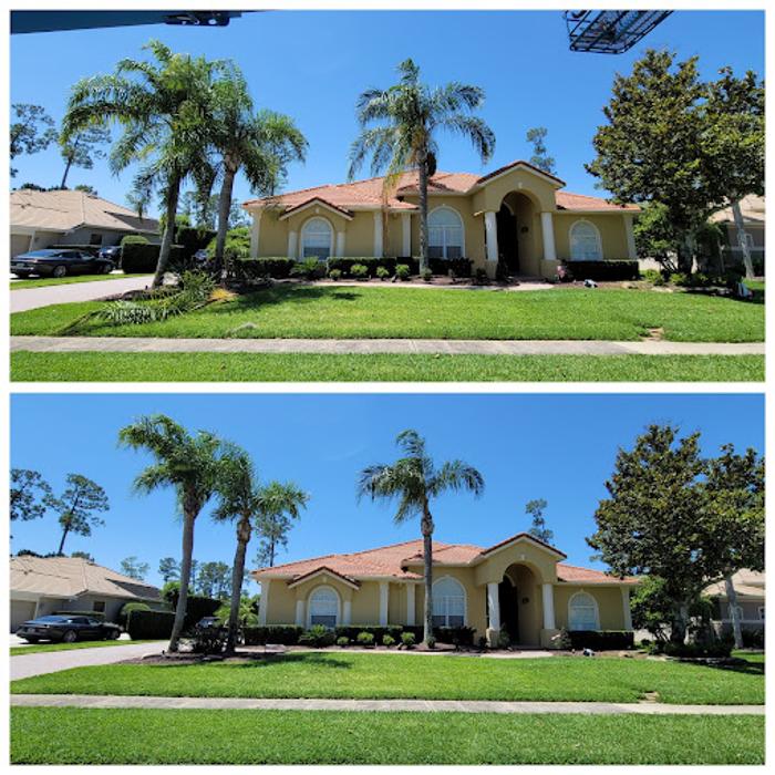 JB Tree Care - Geneva, FL