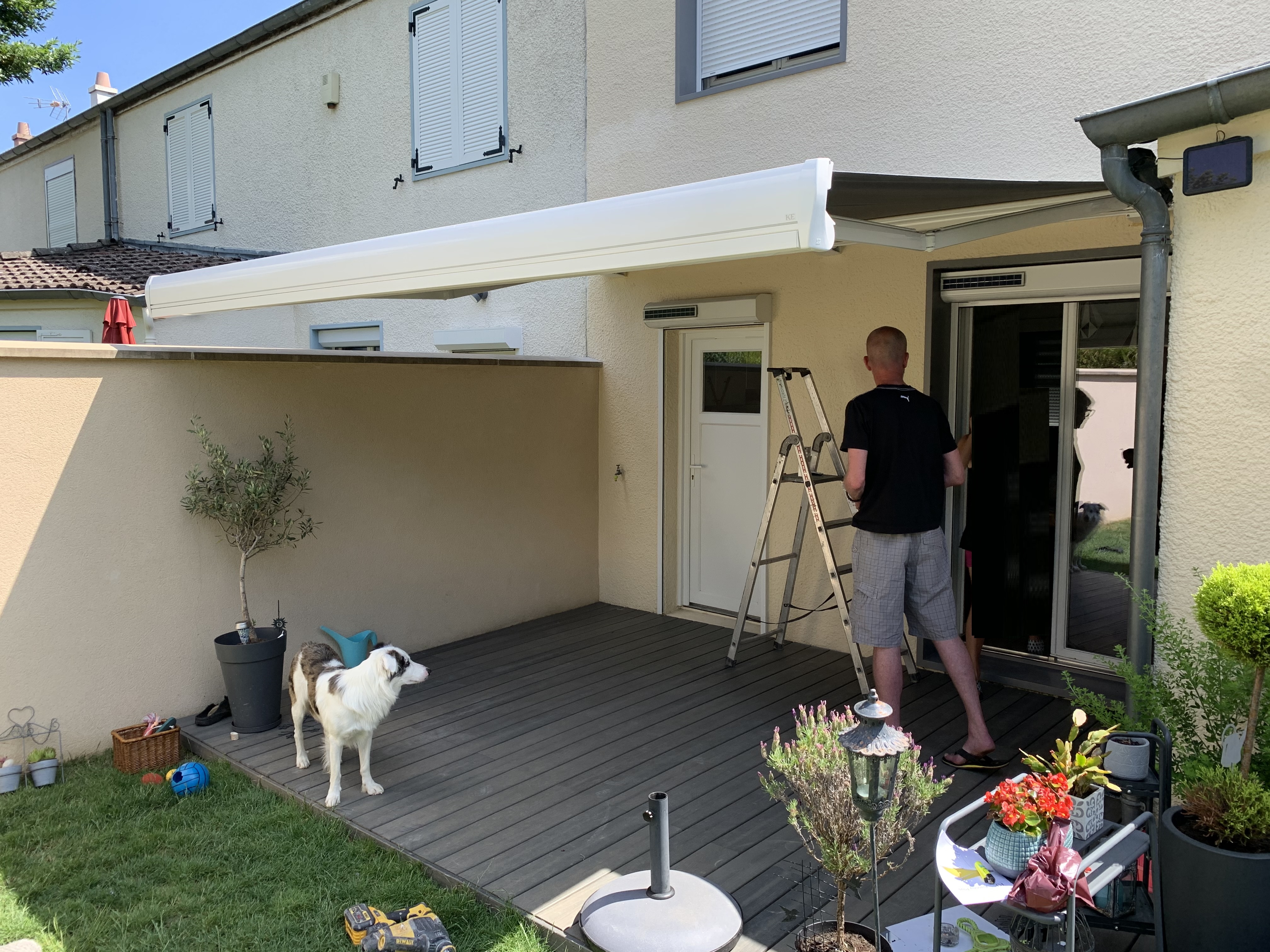 Miniature de la galerie