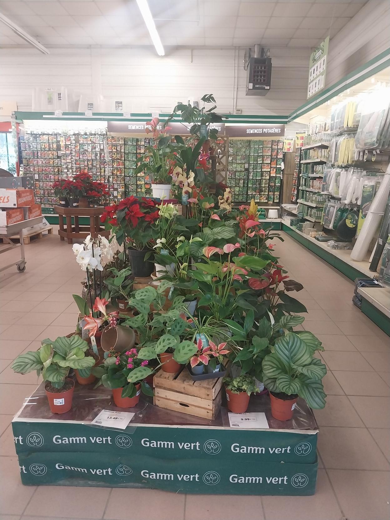 Miniature de la galerie