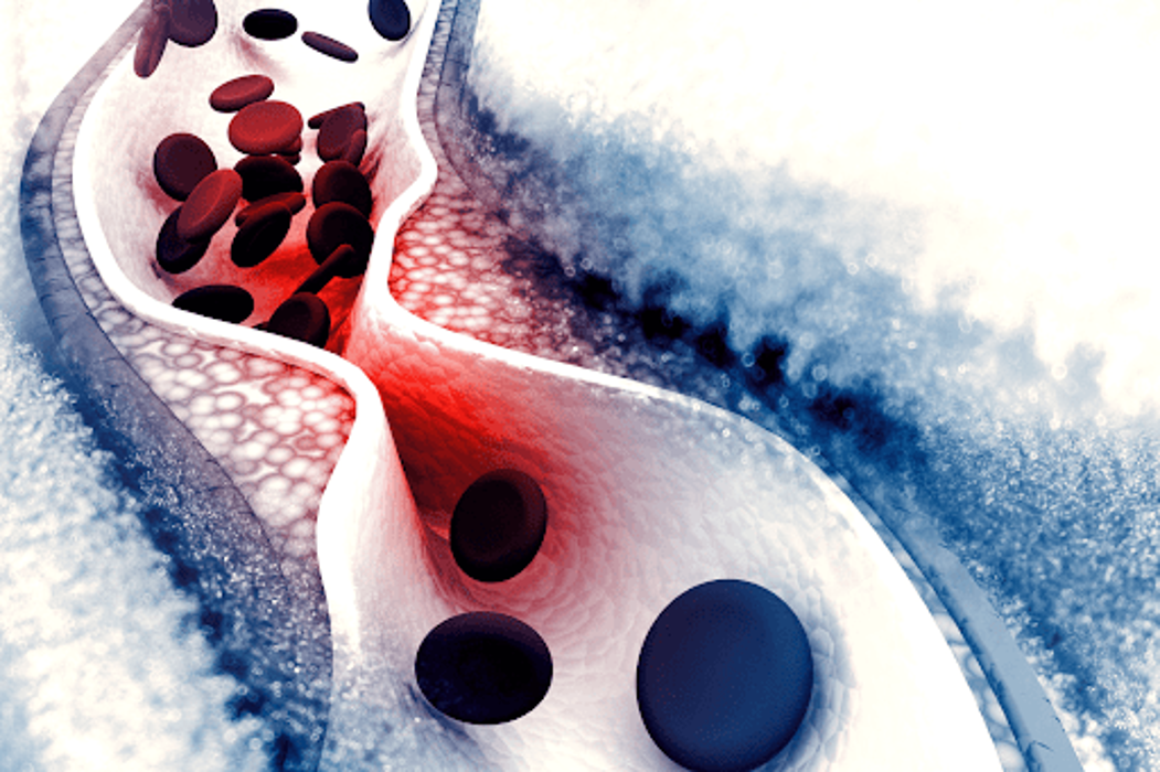 Nutrition HealthWorks - Charlotte, NC