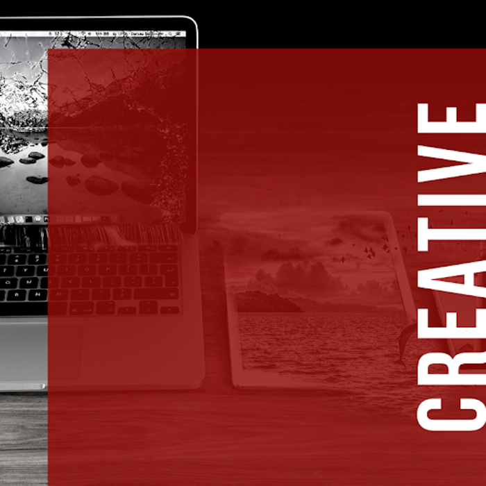 WiT Group - Charlotte, NC