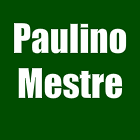 Paulino Mestre Expert