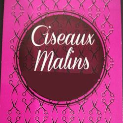 Ciseaux Malins Sarl Coiffure, beauté