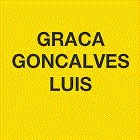 Graca Goncalves Luis taxi