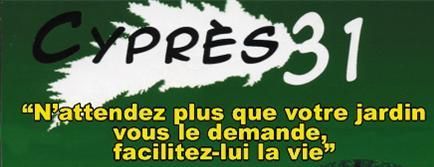 Cyprès 31 paysagiste conseil