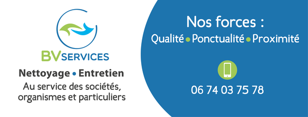 BV Services
