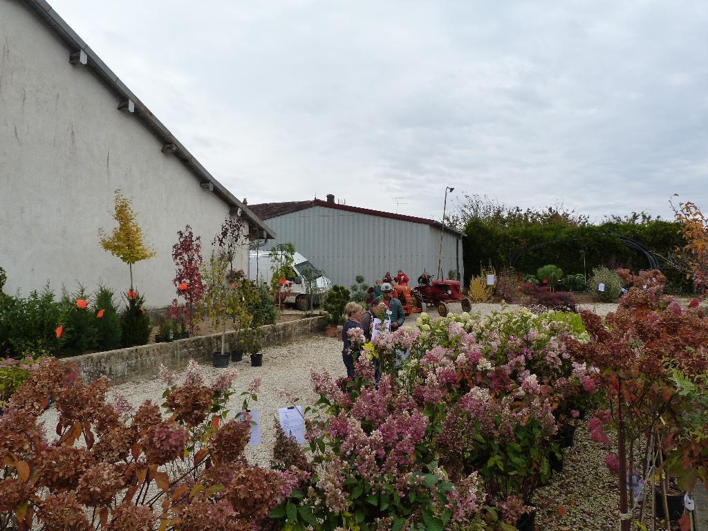 galerie image