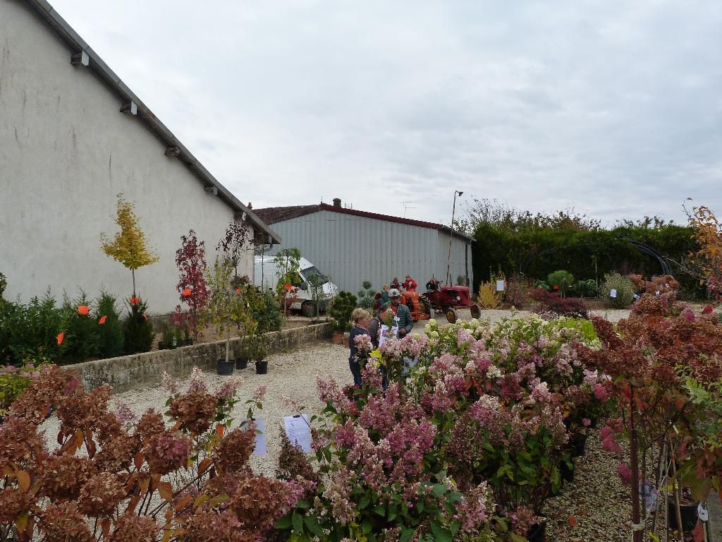 galerie image