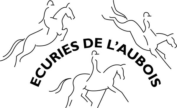 Les Ecuries de l'Aubois établissement d'éducation spécialisée