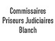 Commissaires Priseurs Judiciaires Blanch établissement financier