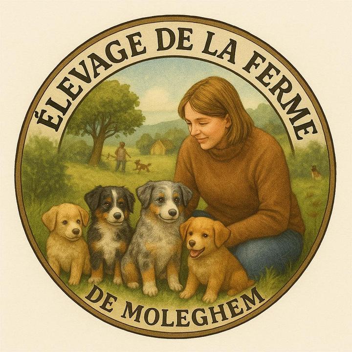 Élevage de la ferme de Moleghem