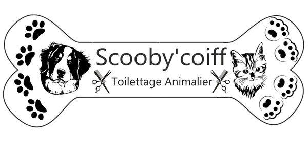 Scooby'coiff animalerie