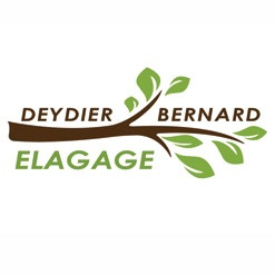 Deydier Bernard Expert