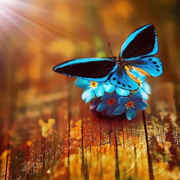 Gierke Jourdan Laurence soins hors d'un cadre réglementé