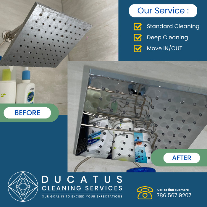 Ducatus Cleaning Services - Miami Beach, FL
