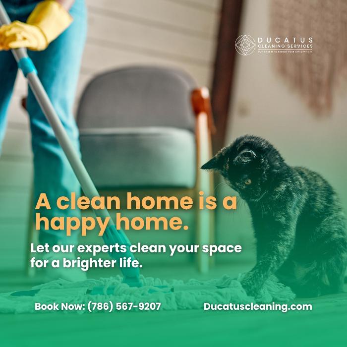 Ducatus Cleaning Services - Miami Beach, FL