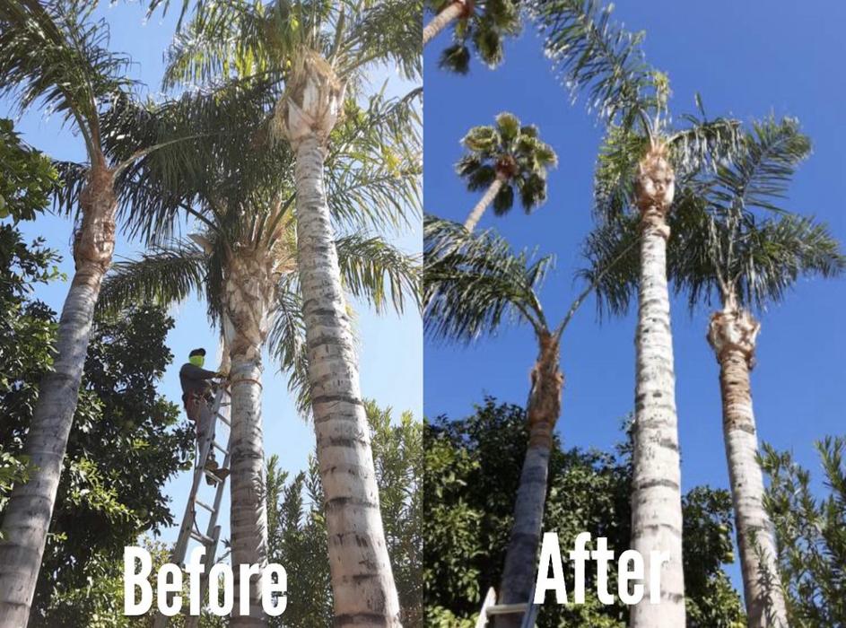 Power Green Landscaping LLC - Phoenix, AZ