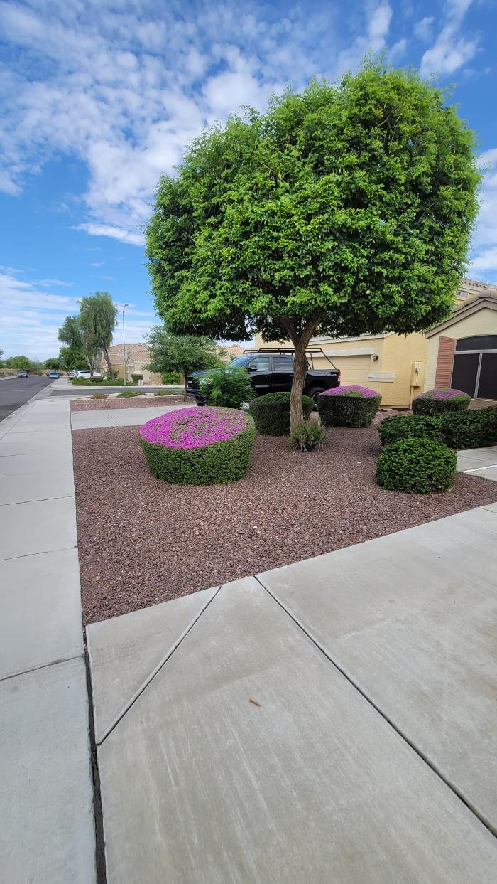 Power Green Landscaping LLC - Phoenix, AZ