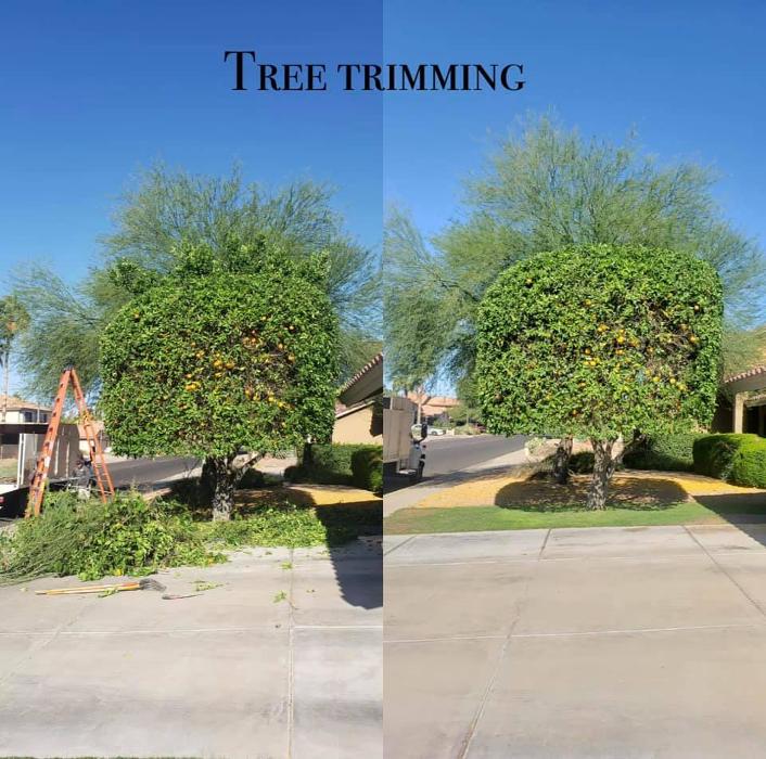 Power Green Landscaping LLC - Phoenix, AZ