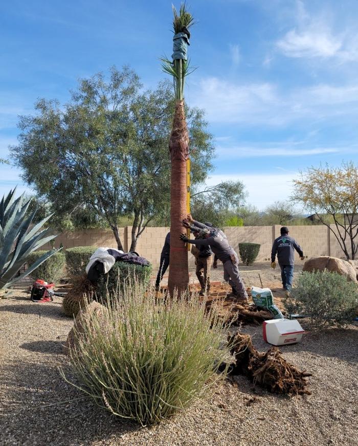 Power Green Landscaping LLC - Phoenix, AZ
