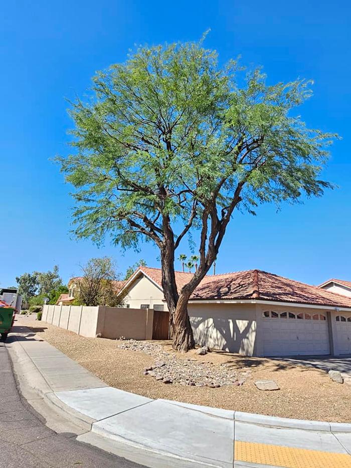 Power Green Landscaping LLC - Phoenix, AZ