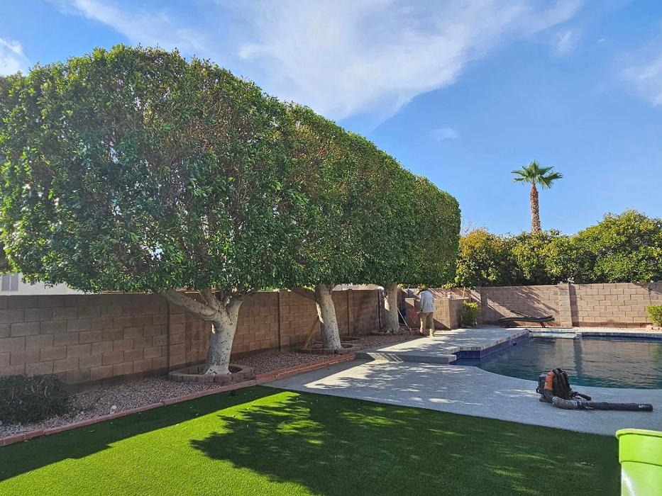 Power Green Landscaping LLC - Phoenix, AZ