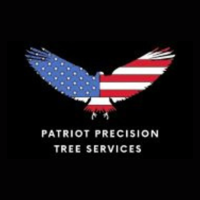 Patriot Precision Tree Service - Mustang, OK