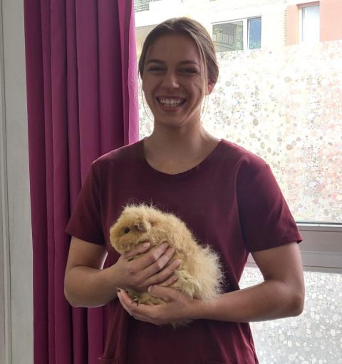 Kleintierpraxis Wimmer, Steinweg in Braunschweig