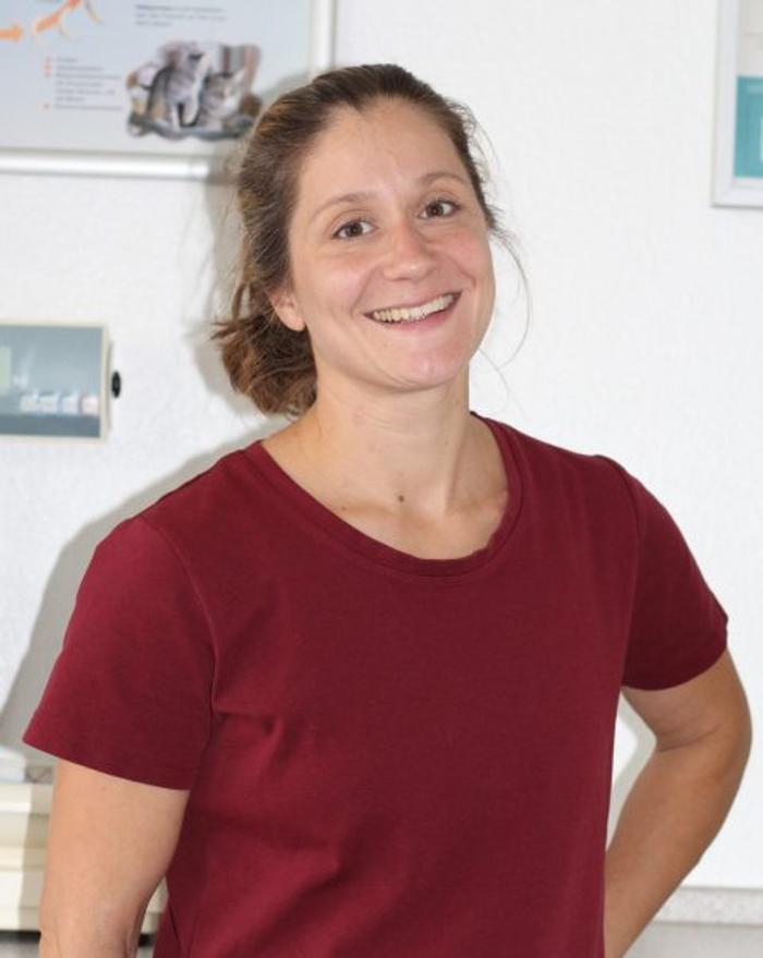 Kleintierpraxis Wimmer, Steinweg in Braunschweig