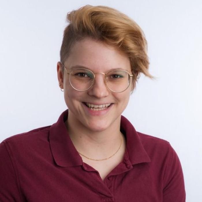 Kleintierpraxis Wimmer, Steinweg in Braunschweig