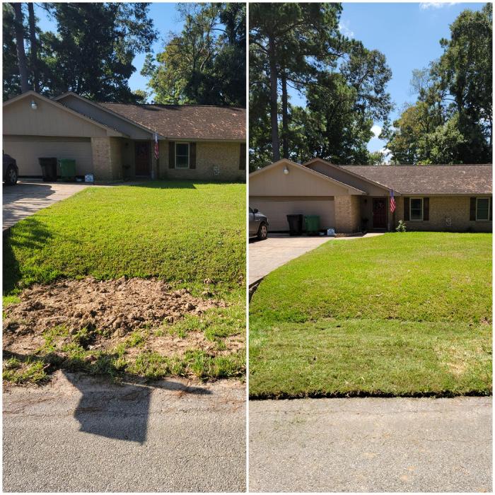 S.P.Z Lawn Care Services - Conroe, TX