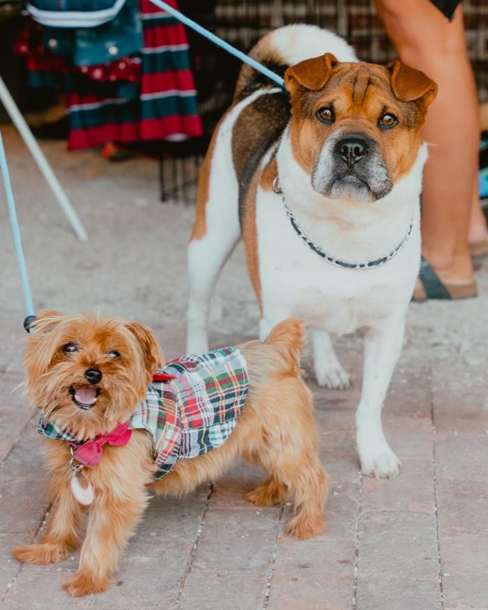 Unlimited Pawsibilities Inc - Hilliard, OH
