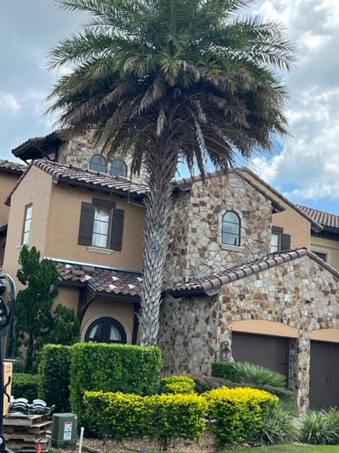 Collis Roofing - Saint Augustine, FL