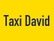 Taxi David
