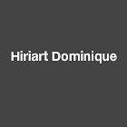 Hiriart Dominique