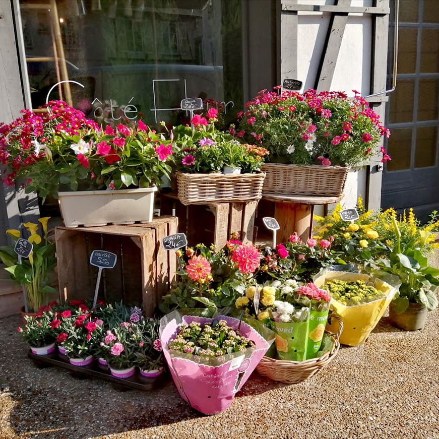 galerie image galerie image