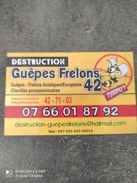 Destruction Guêpes Frelons 42